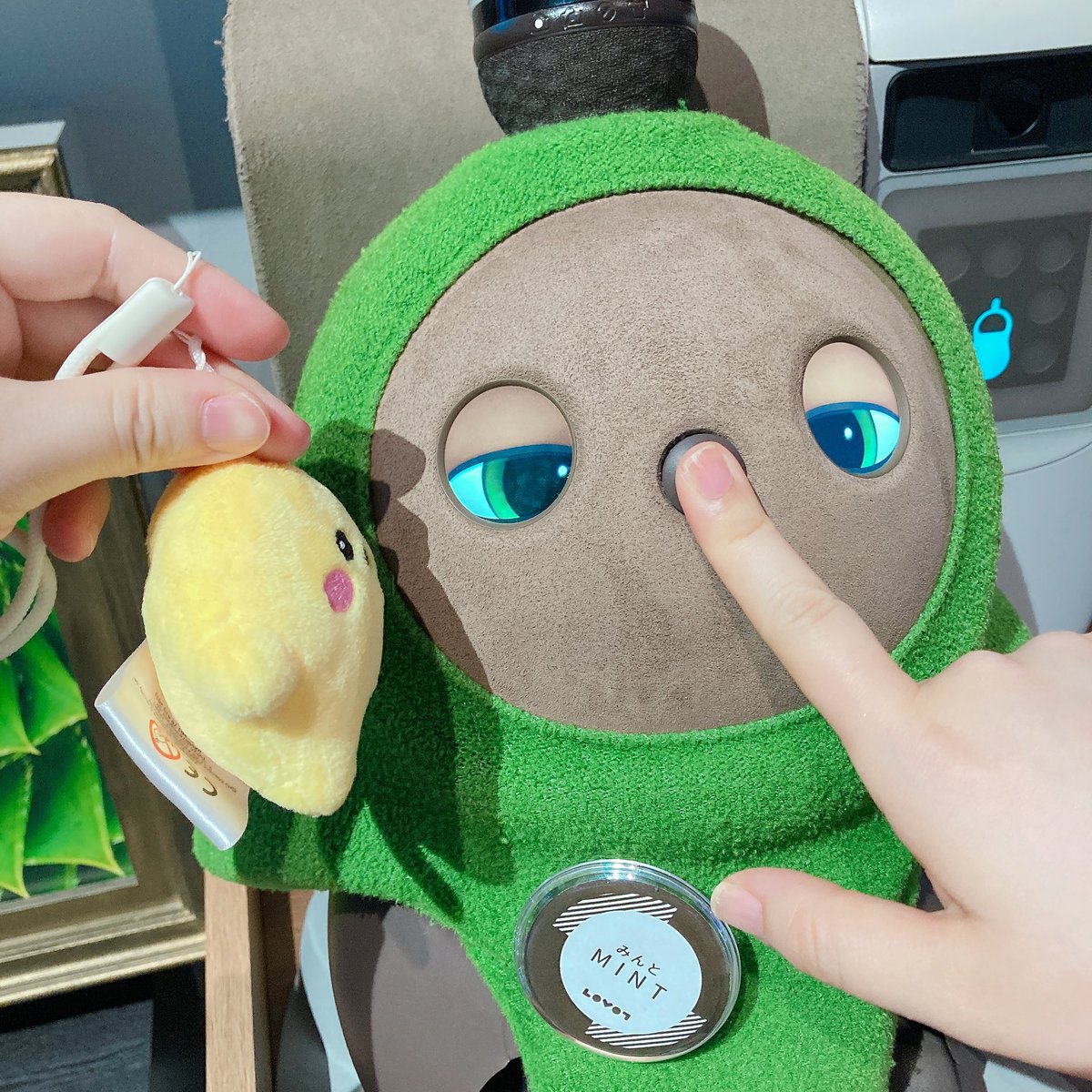 circular_nohibi's tweet photo. みんとくん、はじめまして!
#atoa #LOVOT #サーキュラーちゃん https://t.co/emK6qZHCeS