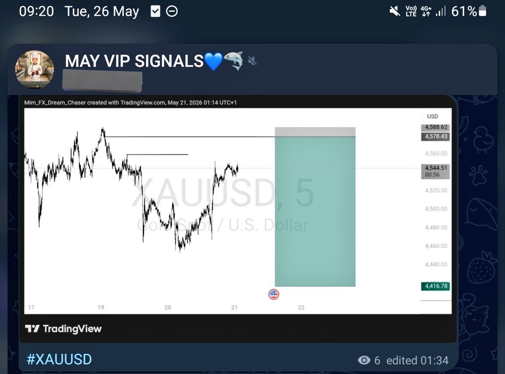 Mim Trades💙🦈 tweet media