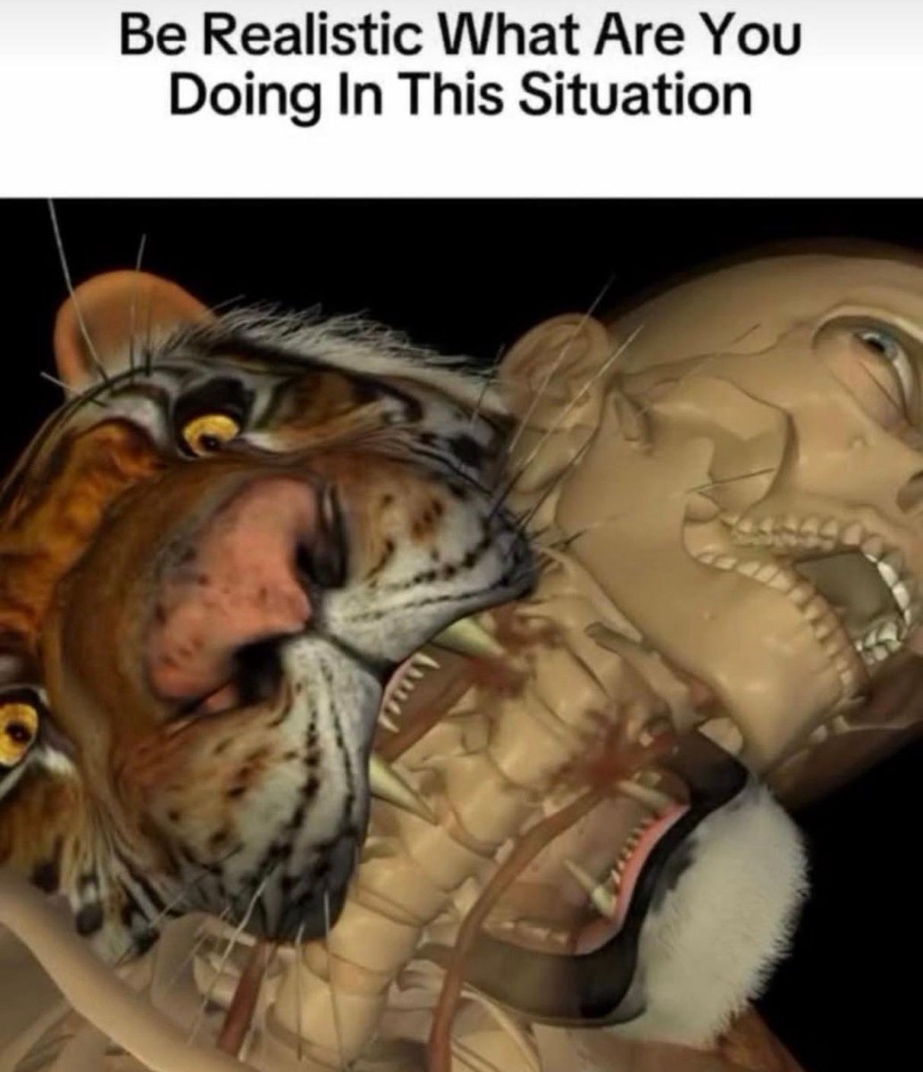 no context memes tweet media