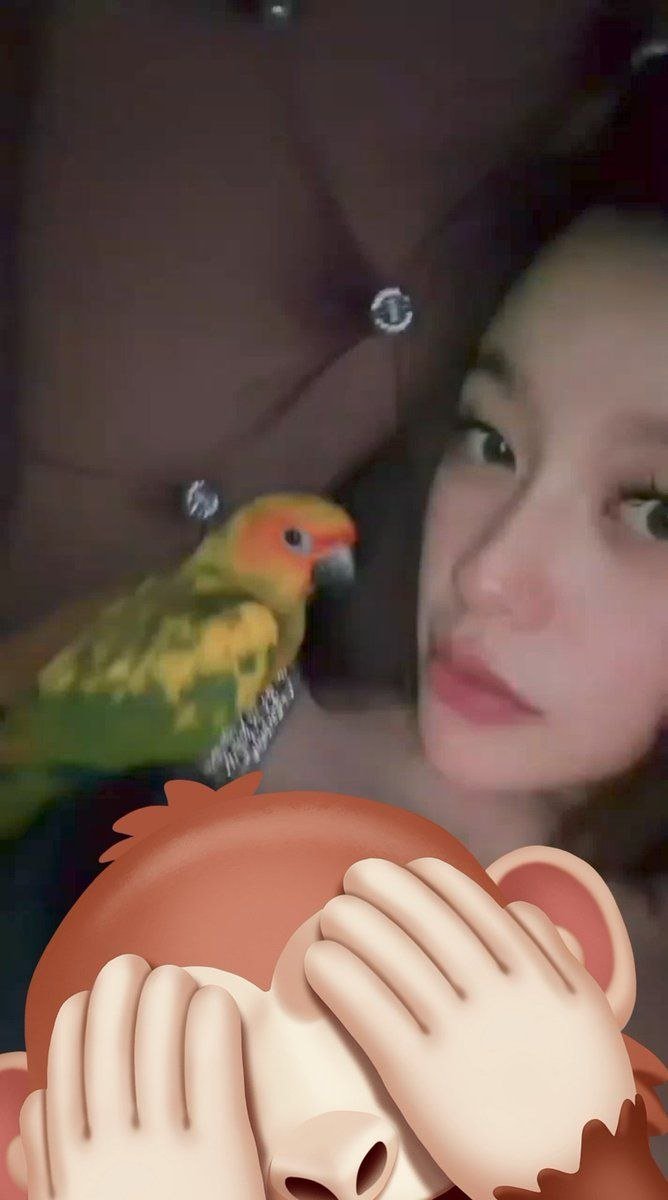 cinta putri tweet media