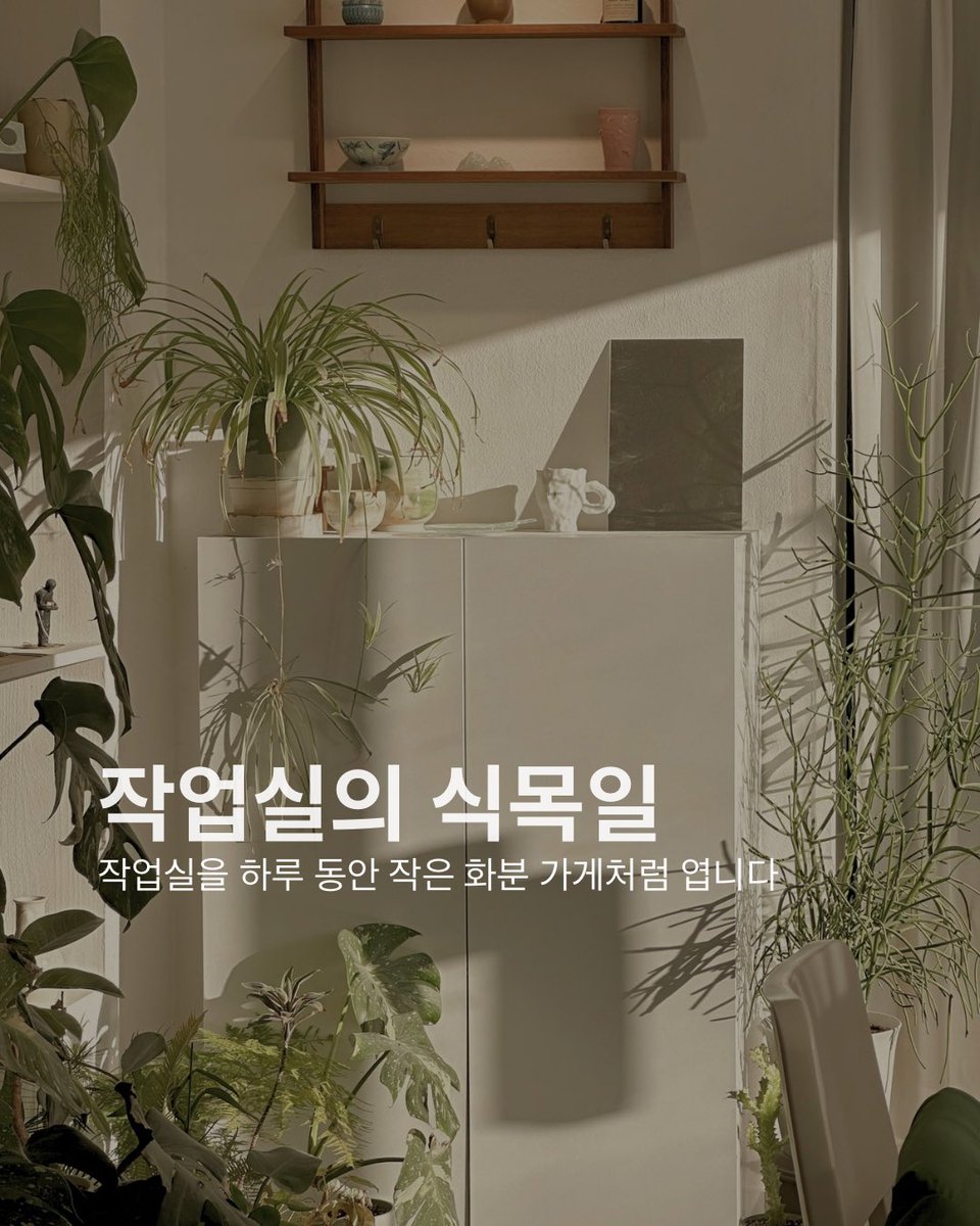 wedo_craft's tweet photo. 작업실을 하루 동안 작은 화분 가게처럼 엽니다 🌳

•6월 13일 토요일  
•11:00 - 16:00  
•연희동 작업실 위도

위도팟 신제품 선공개, 큰 사이즈 팟,  
B급·샘플 팟 할인(최대 40%),  
중고 위도팟 무료 나눔까지 준비했어요.

자세한 내용👇
https://t.co/UxEi07J0gB https://t.co/MJlYmCSX3i