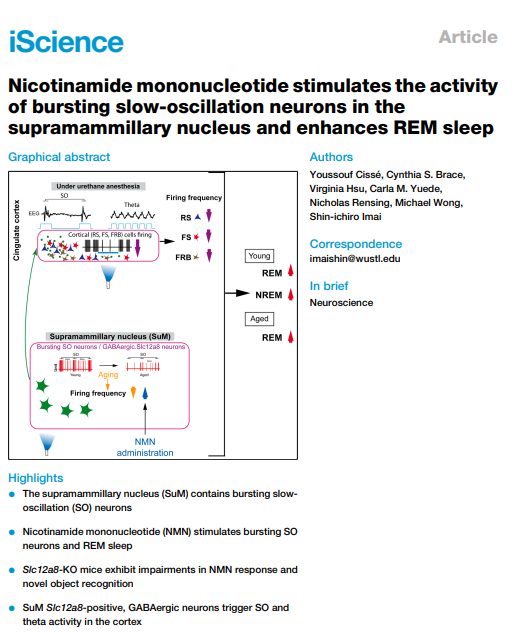 Do_Not_Age's tweet photo. Shin-Ichiro Imai (godfather of NAD+ research) latest paper shows NMN enhances REM sleep  🐁 

Full email coming next week https://t.co/B7J4oLKmeS