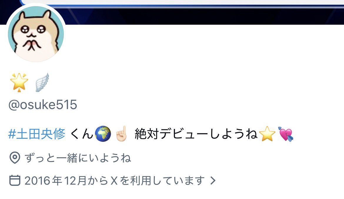 🪽 tweet media