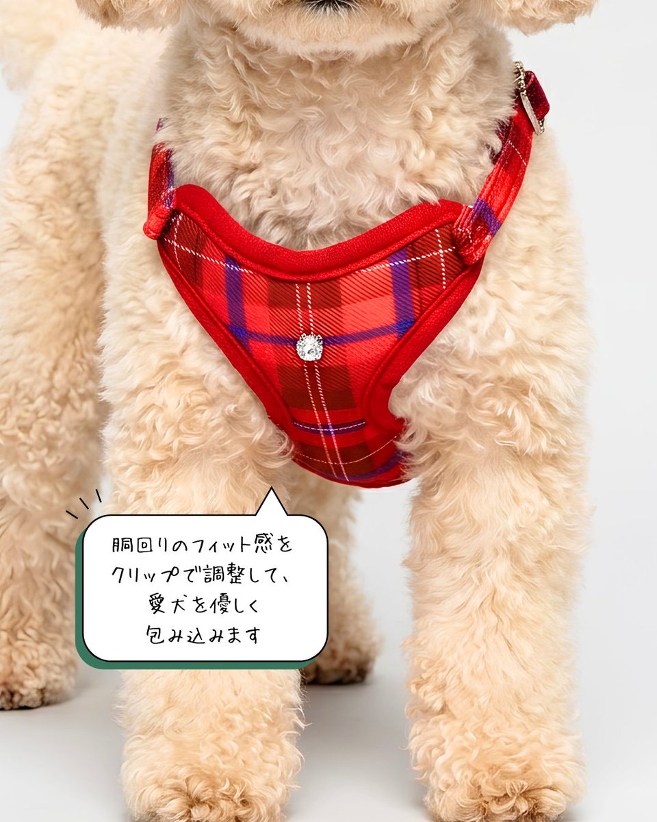 peanutsclubws's tweet photo. こんにちは、ピーナッツ・ペットはインターペット大阪の出展準備中です。

🐾お散歩時間をもっと快適に♪
「ソフトハーネスリード」🐶

リード一体型で、ふわふわ肉球クリップ付き✨ 
胴回り調整OK＆内側メッシュ仕様で快適！

「インターペット大阪2026」で販売予定です！ 

#犬 #犬用品 #ペット用品 https://t.co/SpXARWNSgt