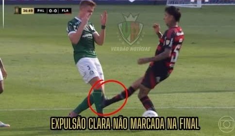 Rafael Fontanetti 🐯🐷 tweet media
