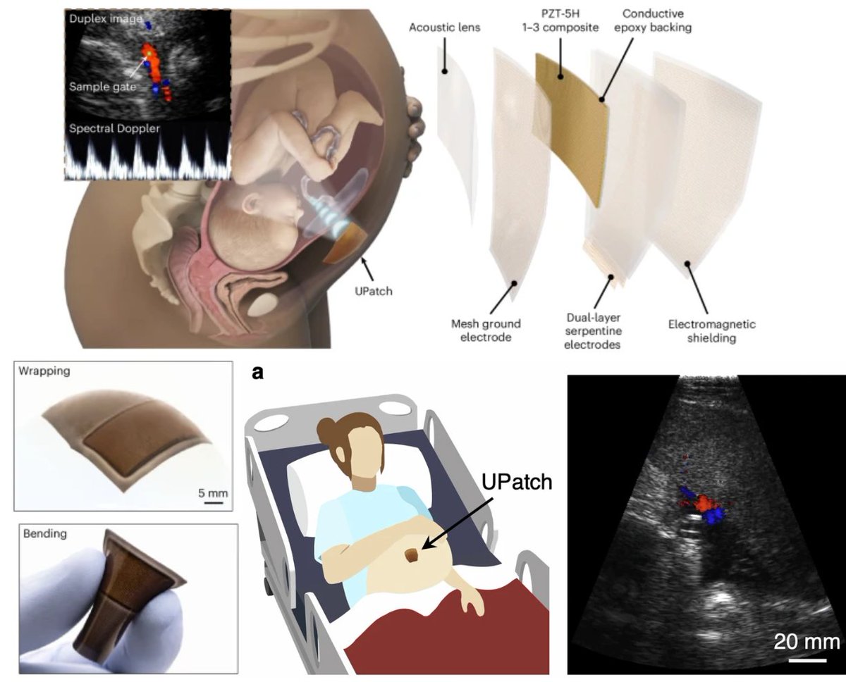 Bioelectronics Drop tweet media