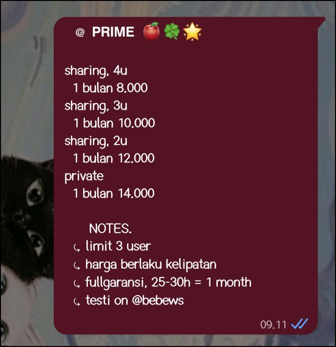 ocen! fsr chat wa | @ after dm tweet media