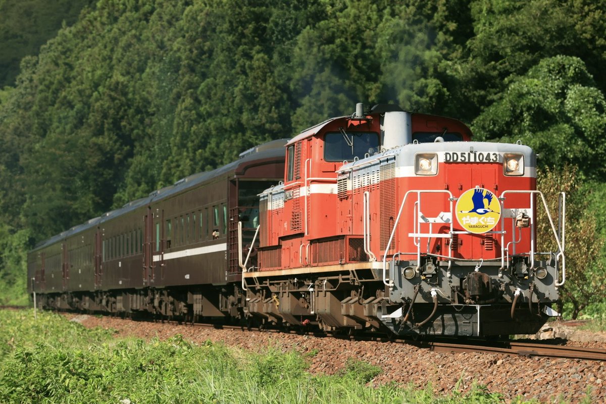 kuro683's tweet photo. ヘッドマークつきの【宮】【関】【群】【函】
なんだかんだ国鉄型機関車の中でも一番カット多いだろうな
#自分が今まで撮ってきたDD51見せて https://t.co/u56zRUXQuu