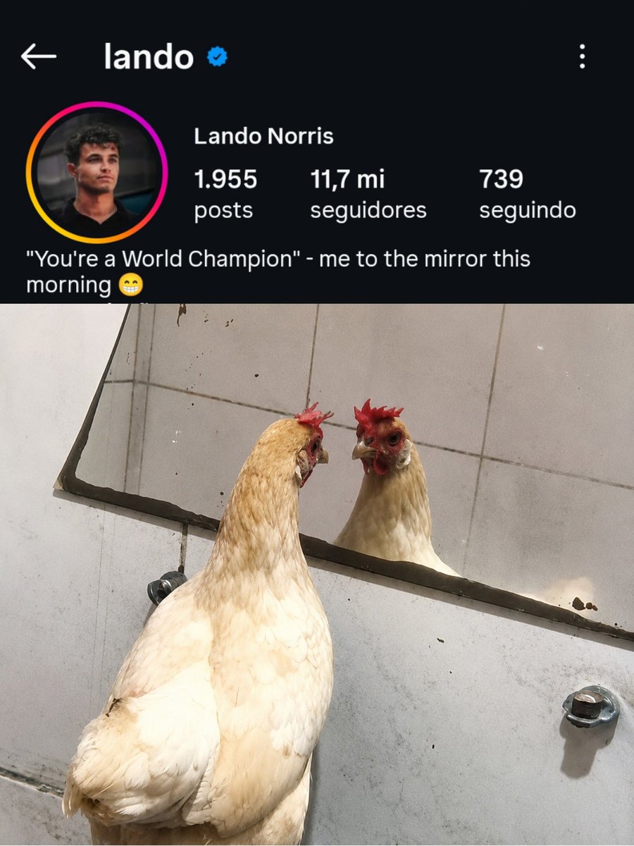 Estagiário da F1 tweet media