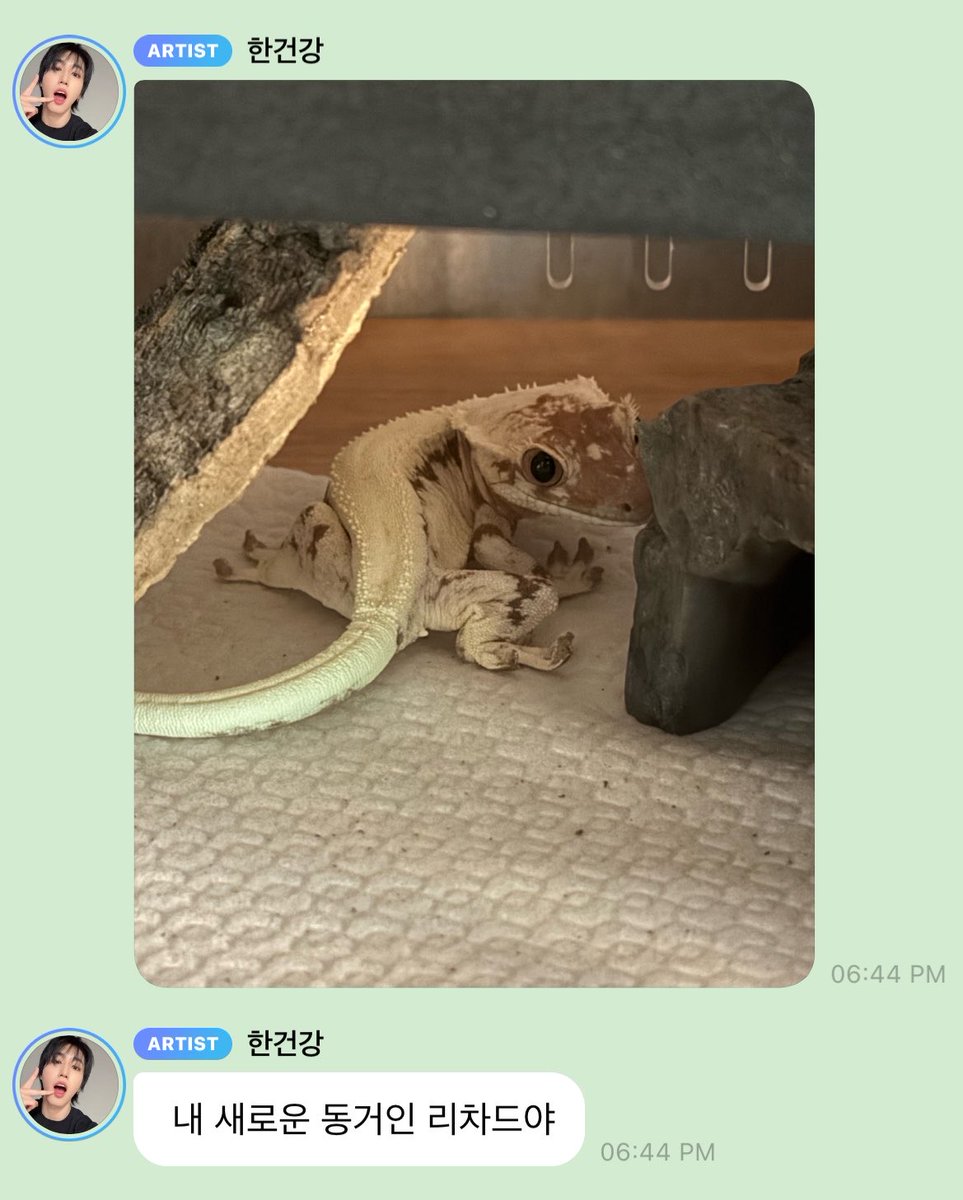 한랑이 tweet media