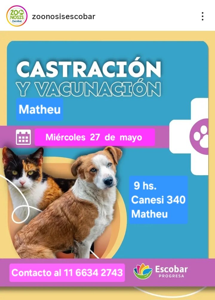 protegealanimal's tweet photo. ESCOBAR - MATHEU
#ESCOBAR #MASCHWITZ #INGENIEROMASCHWITZ #GARÍN #MATHEU #MAQUINISTASAVIO #SAVIO #24DEFEBRERO #BELÉNDEESCOBAR #LOMAVERDE #ZONANORTE #GRANBSAS #BSAS 
Para castraciones en el móvil quirúrgico deben comunicarse al teléfono que figura en el operativo. https://t.co/aOiovMO7gc