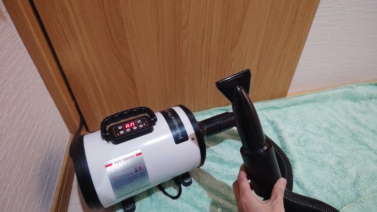 wt_yuu0807's tweet photo. ついに家にもこいつを導入！ガッツリワッフルを乾かすぞ！！
家族総出でワッフルのお風呂タイムをします💪💪 https://t.co/gCHOZFty94
