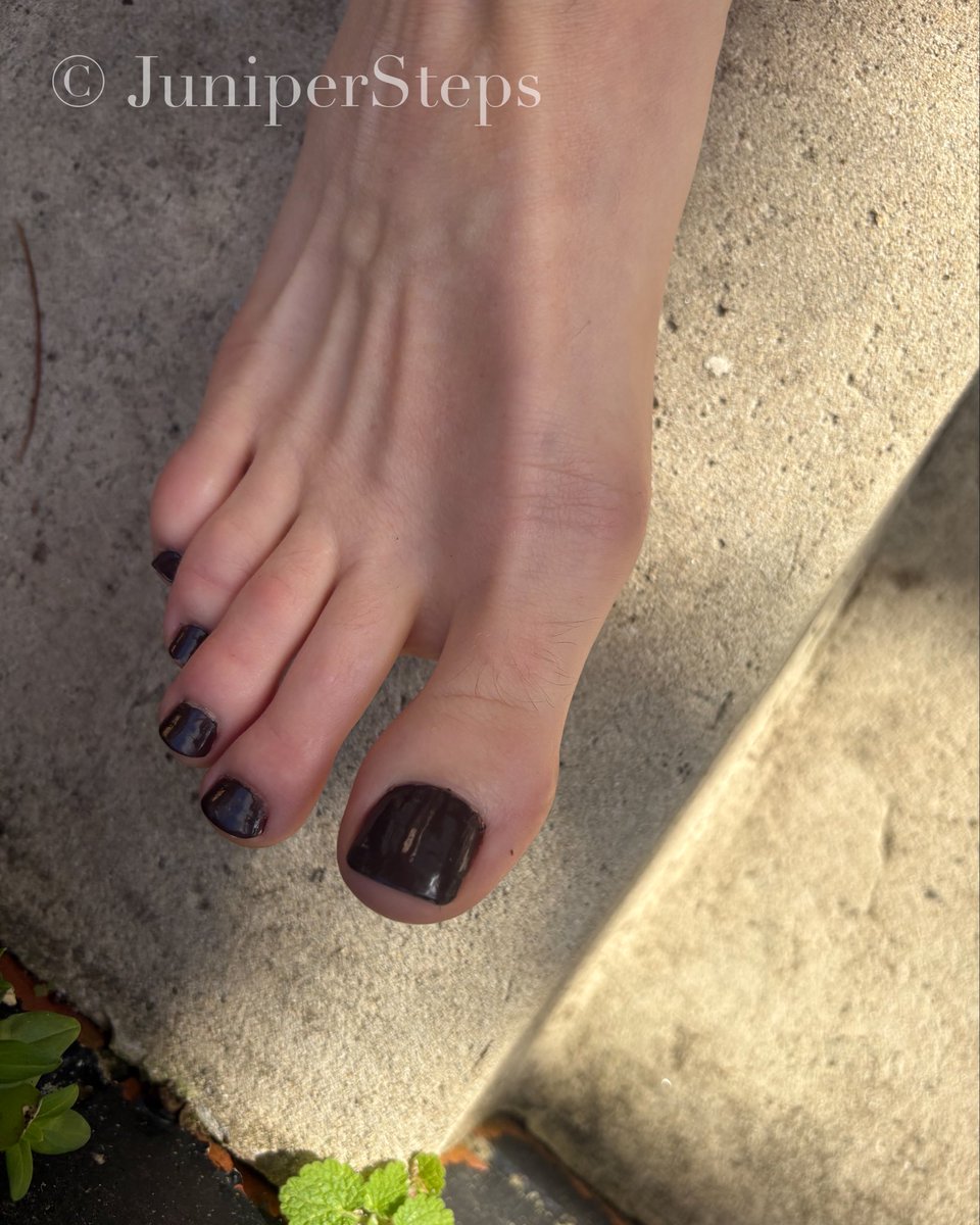 JuniperSteps's tweet photo. @UncontrSOLEable @sadisticgianna Happy Toesday 🩷 https://t.co/CfsT0sqo3T