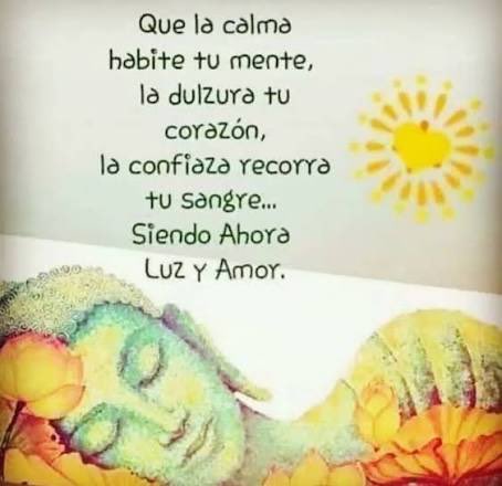 VERDAD tweet media