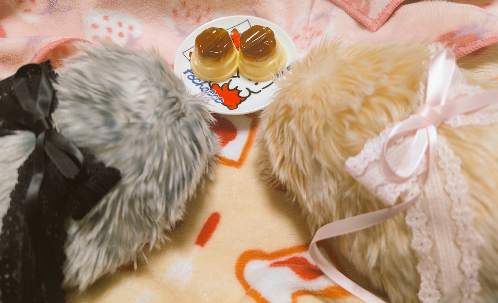 ポ tweet media