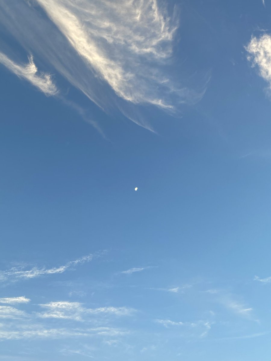 Nadia 🌙 tweet media