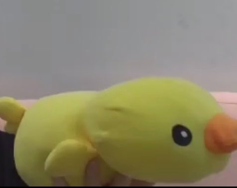 김자라 tweet media