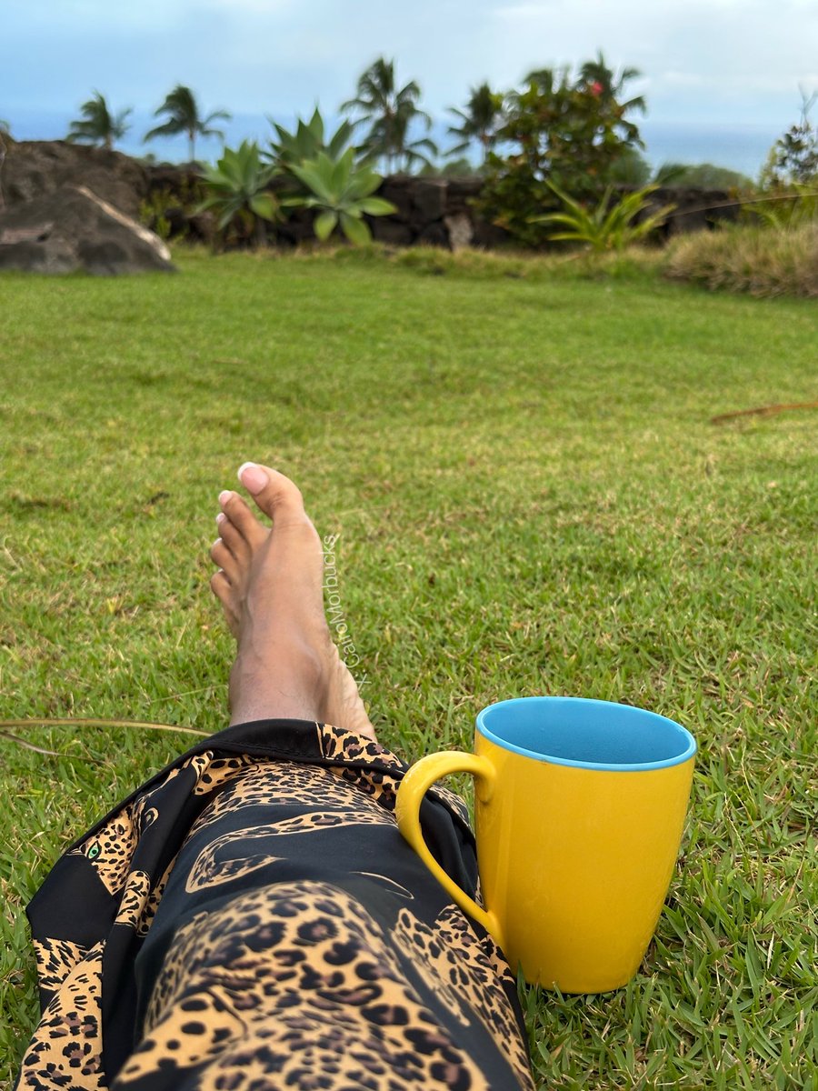 cairomorbucks's tweet photo. paradise, coffee, and mamas toes ྀི https://t.co/oriF9zKYz5