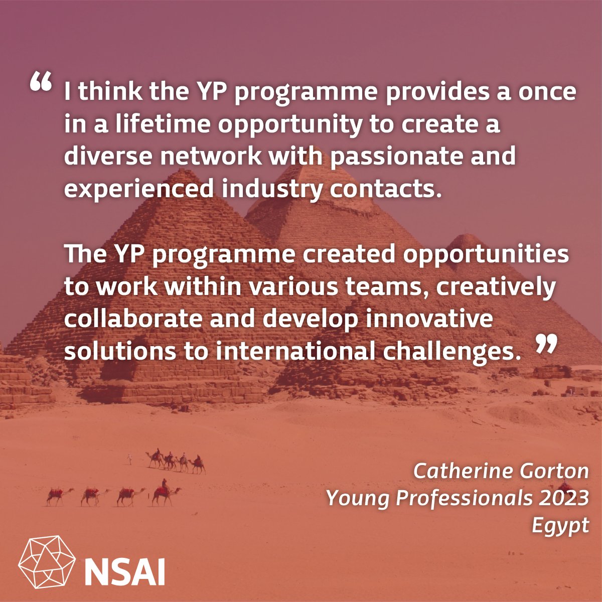 NSAI_Standards tweet picture