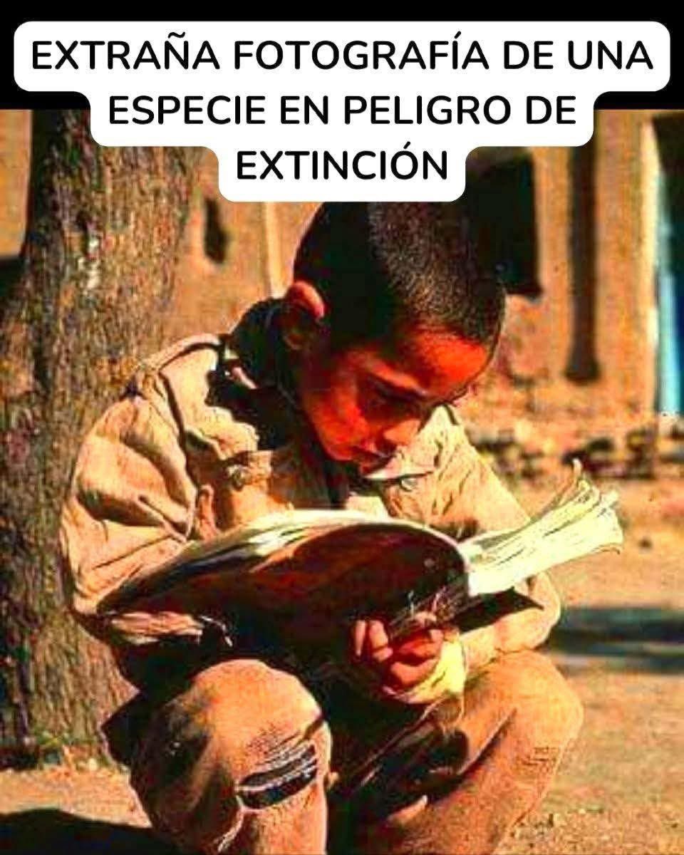 amorenloslibros's tweet photo. https://t.co/9nB5J3T8r2