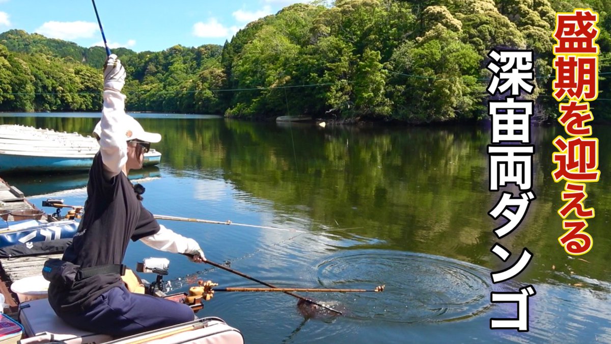 kaneyan_youtube's tweet photo. 動画を公開しました！
三島湖の桟橋は渋いけど良型めっちゃ釣れます🎣
是非お楽しみください✨

■良型ヘラブナ連発！！房総半島の三島湖で回遊するヘラブナをチョウチン両ダンゴで仕留める。 https://t.co/iYcarPmIQZ https://t.co/Lx79yotJ4Y
