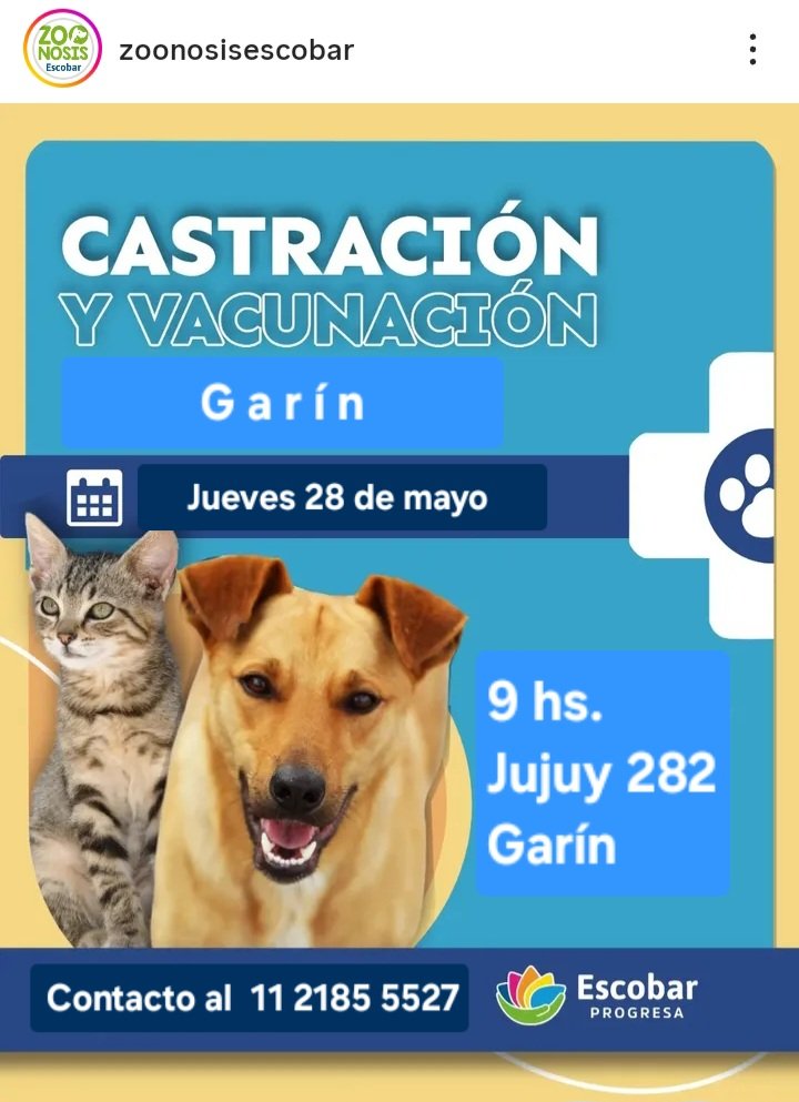 protegealanimal's tweet photo. ESCOBAR - GARÍN
#ESCOBAR #MASCHWITZ #INGMASCHWITZ #GARÍN #MATHEU #MAQUINISTASAVIO #SAVIO #24DEFEBRERO #BELÉNDEESCOBAR #LOMAVERDE #ZONANORTE #GRANBSAS #BSAS 
Para castraciones en el móvil quirúrgico deben comunicarse al teléfono que figura en cada operativo. https://t.co/uEExScnXec