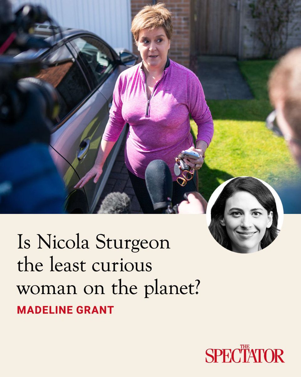 The Spectator tweet media