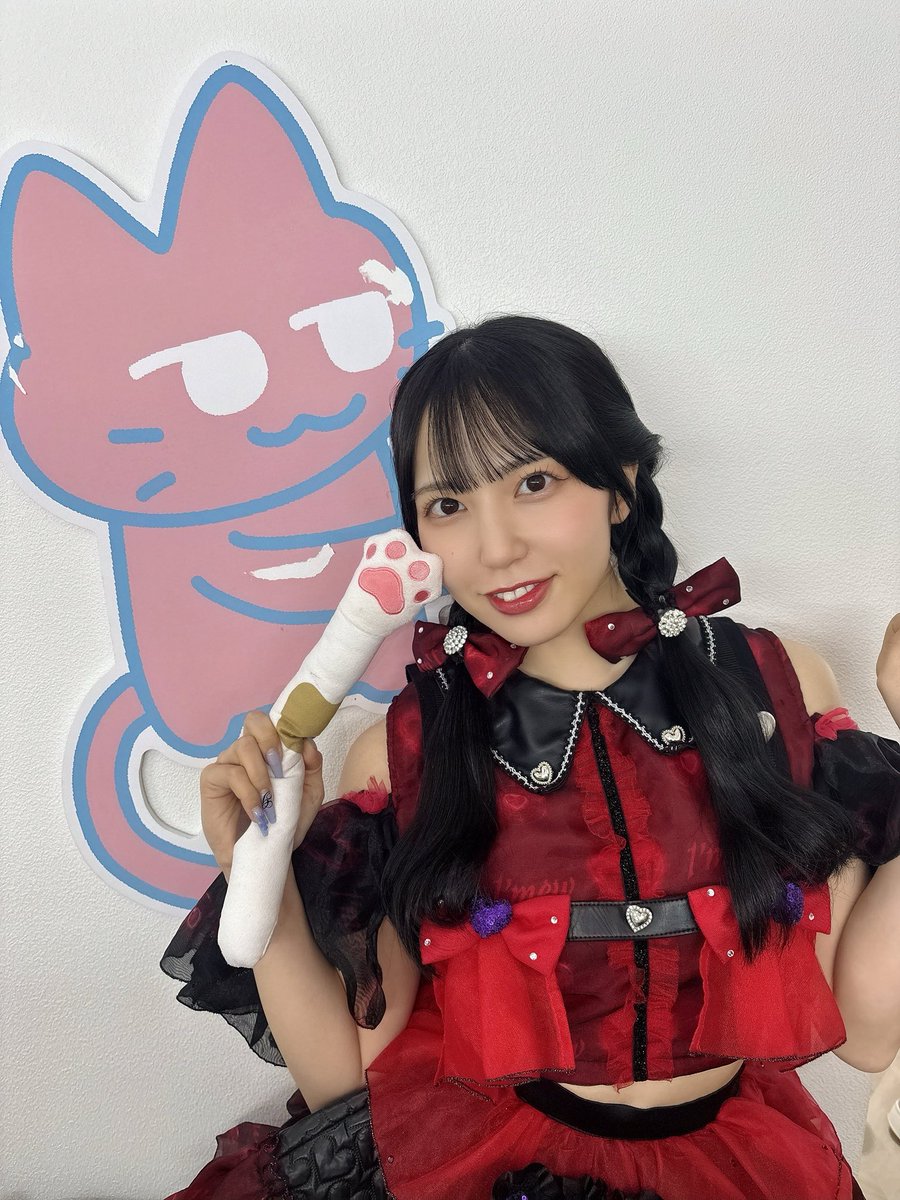 にゃんここにゃんこらんにゃんこ🐈