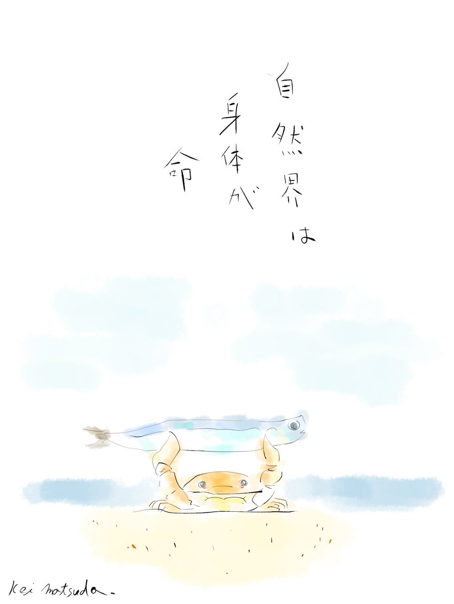 まつ tweet media