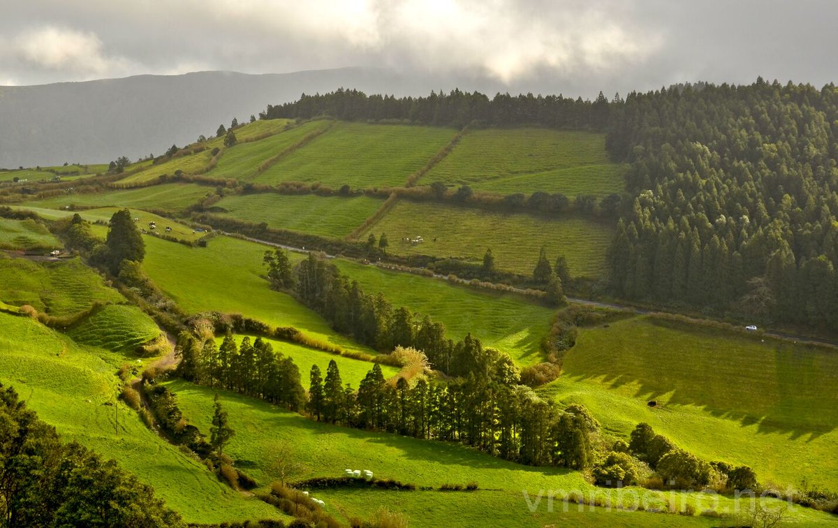 vrfoto's tweet photo. Luz a romper sobre as encostas de São Miguel.
Campos, linhas de verde e um silêncio que respira.
#Photography #Açores #SãoMiguel #Paisagem #Portugal https://t.co/kiwloMJ7XM