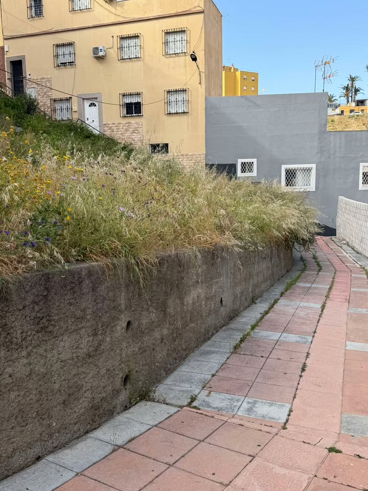 El Faro de Ceuta tweet media