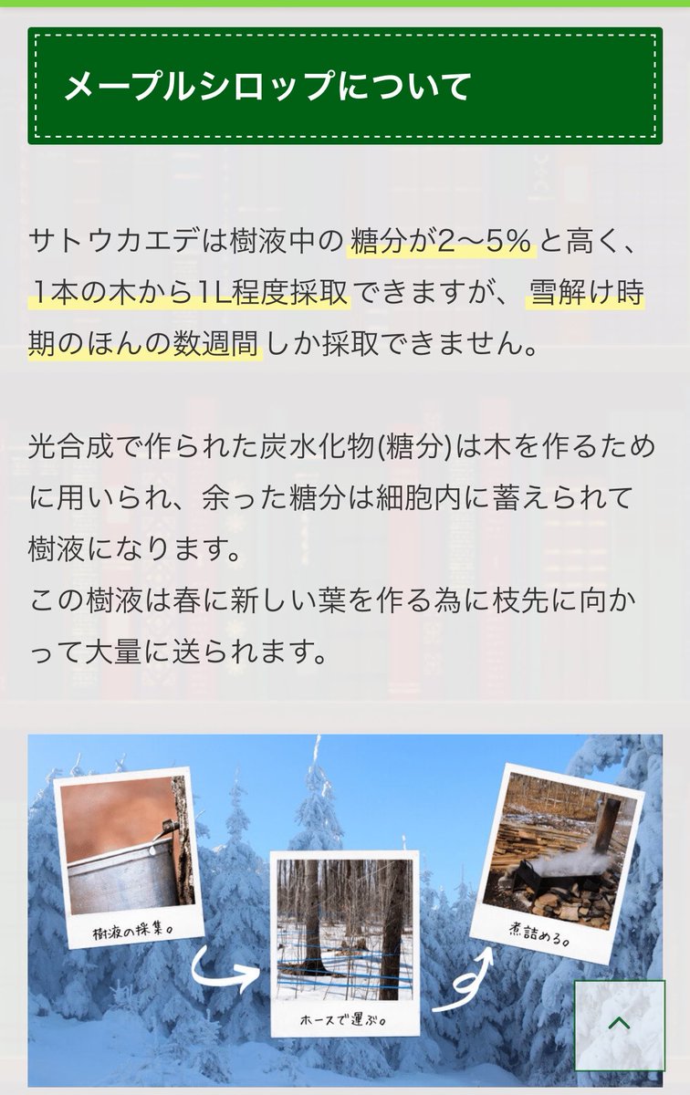 合歓ねむ tweet media