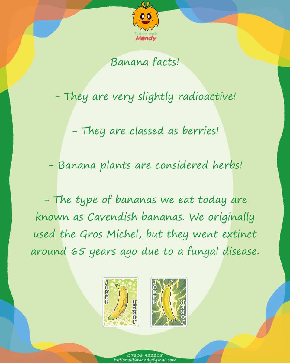 tuitionmandy's tweet photo. Facts about bananas are bananas! #tuitionwithmandy #education #teacher https://t.co/EDF3wDLJsP