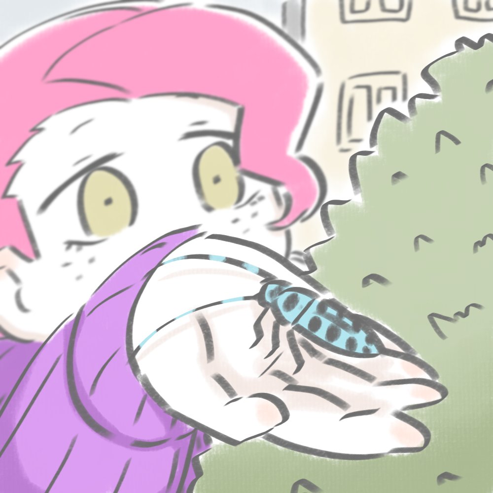 ウェリッサ tweet media