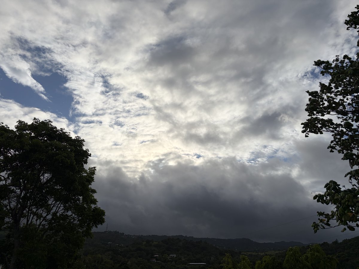 PrattsN's tweet photo. @DeborahTiempo @adamonzon @SLopezTiempo @manuelcrespotv @carlosomartv    @Carlostoletv y amig@s: ¡Bd! Vistas hacia el N/S/E/O  desde Aibonito, 🇵🇷. https://t.co/5vC5LQWwJR
