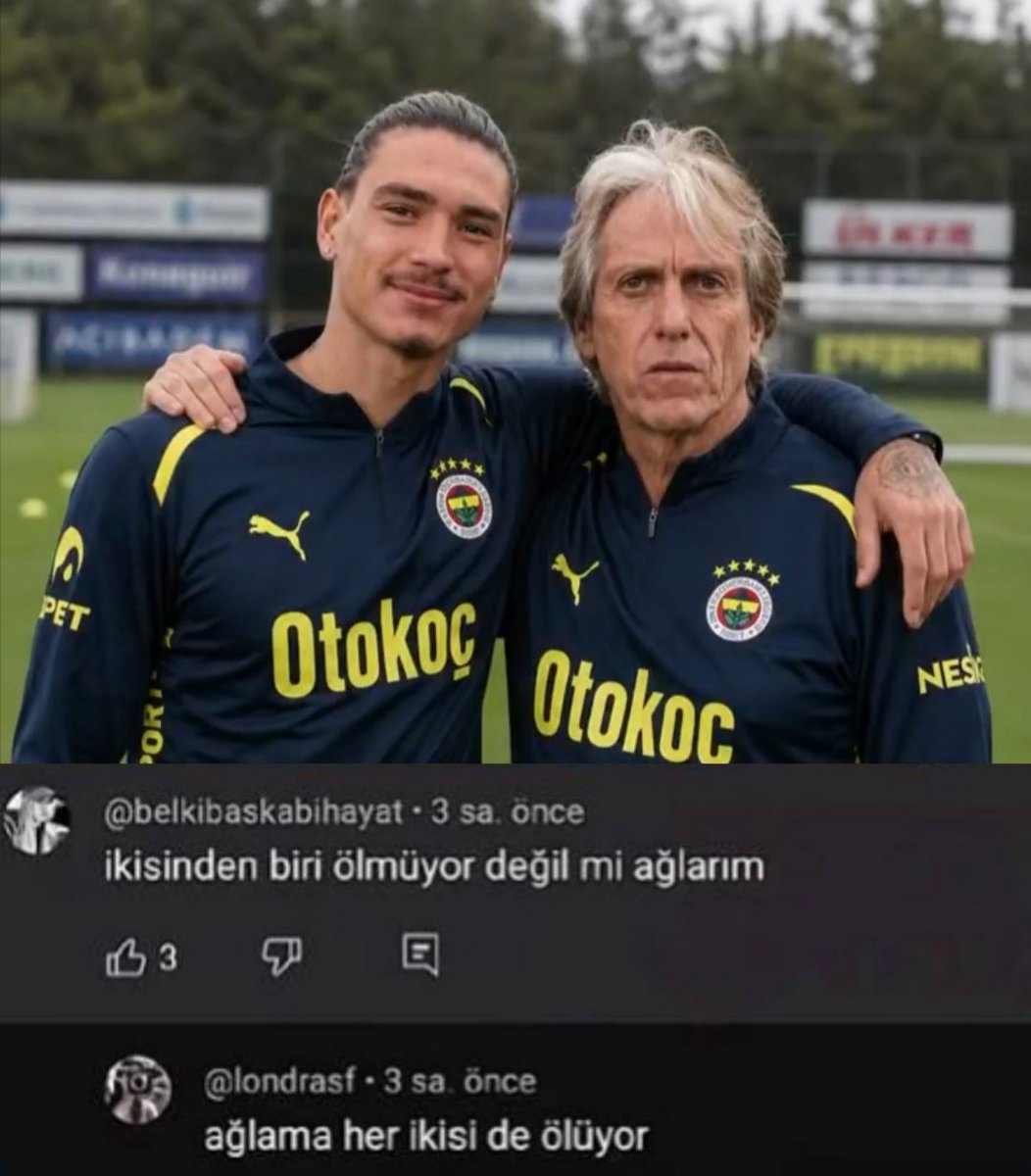 Robin tweet media