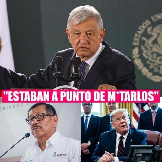 constanza luna tweet media