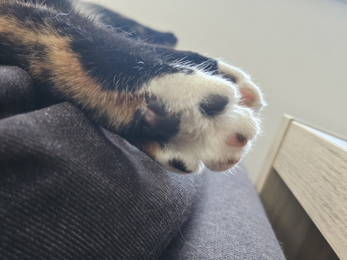apshiq's tweet photo. feet pix x https://t.co/HtBlv2zD3T
