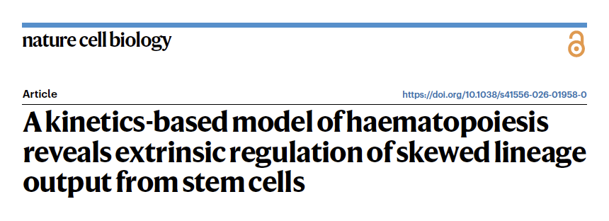 haas_lab's tweet photo. In our new study @NatureCellBio, we identify stem cell kinetics and cellular competition as key principles underlying blood stem cell diversity. Fun collab. @MilsomMick @FloGrunschlager @Esther_RCorrea, Tamar Nizharadze,Thomas Höfer,Daniel Hübschmann (1/6) https://t.co/2EHpfoSQyp https://t.co/myD2BqLujv