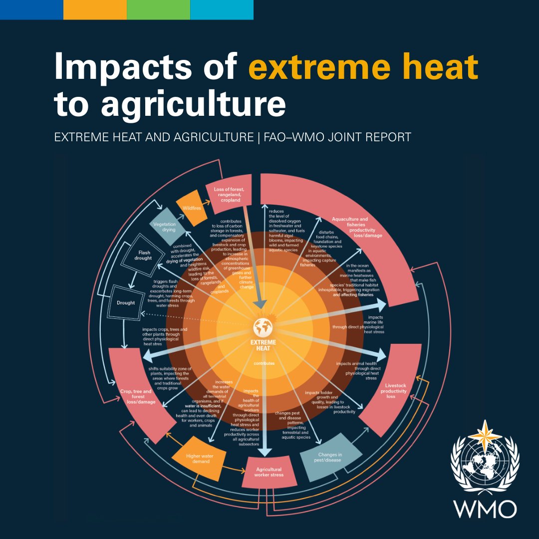 World Meteorological Organization tweet media