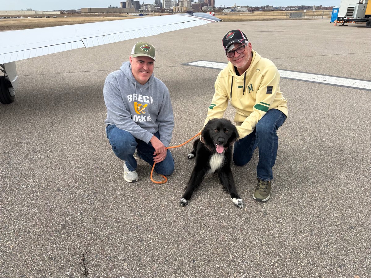 PilotsNPaws's tweet photo. After everything they’ve been through this moment says it all. Abandoned animals brought to safety through #PilotsNPaws Freedom Flights. No longer surrounded by uncertainty, but finally in a place where all of them can relax, knowing they are safe and loved #WhyWeFly #ReasonToFly https://t.co/dFhlA1L1hW