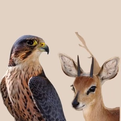 Rvrgr169078's tweet photo. #صورة_جديدة_للملف_الشخصي https://t.co/hFrbNKiS4H