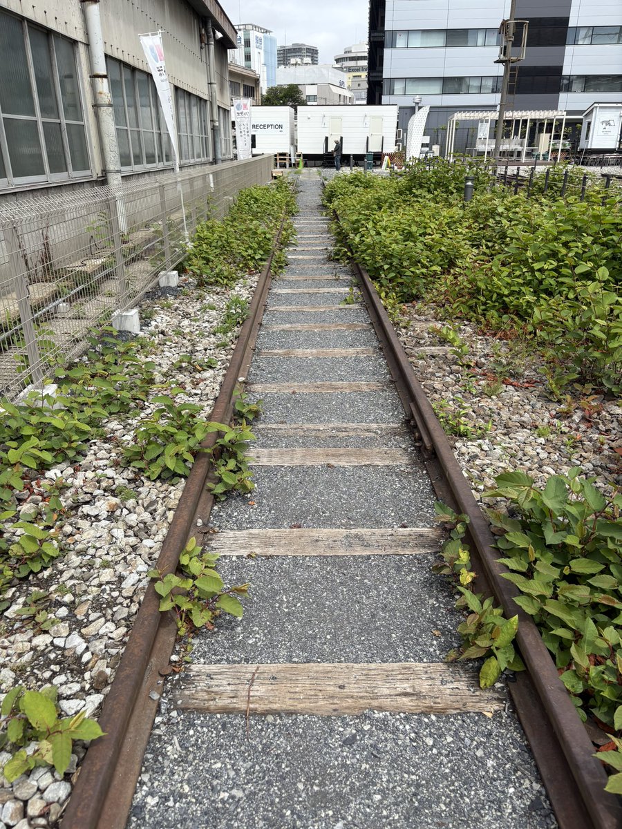 taichiro_online's tweet photo. ご挨拶が遅れましたが…

先週末の「#オトレール」にご参加くださったお客様、ありがとうございました！

なんと300名近くの方が遊びに来てくださったそうで！
すごい！

次回はあるのか！？
あるとしたらいつなのか！？
「Irregular Session」アカウントをフォローして、今後の動向をチェックしてね👀 https://t.co/474VaBXFtO