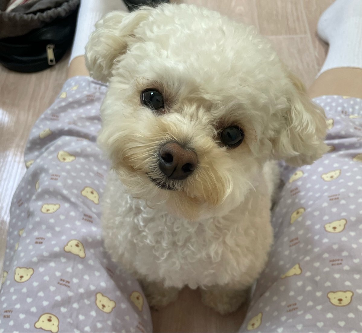 최밥풀 tweet media
