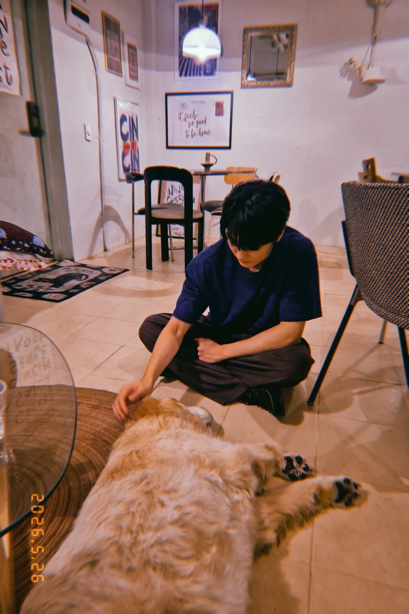 omo0oomo's tweet photo. 강아지와 강아지의만남 기쁘다 https://t.co/ucHbfoZb0z