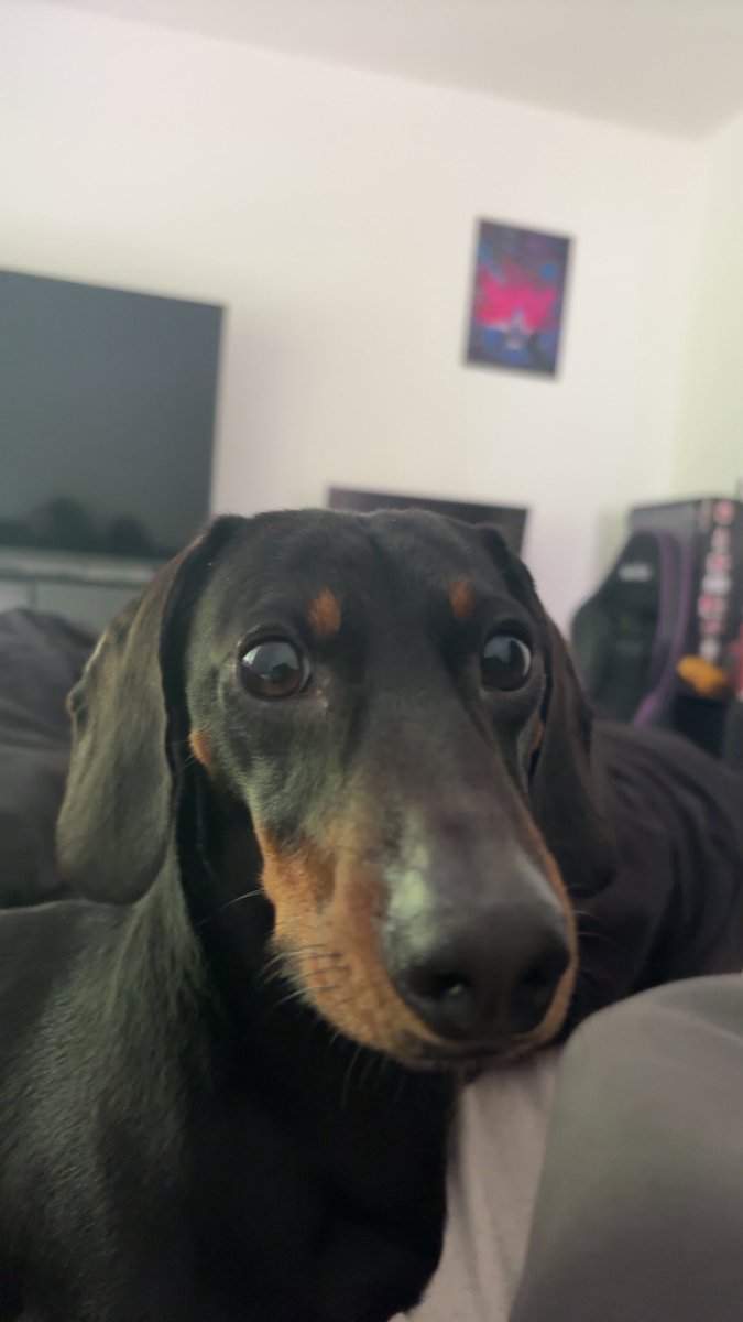 BattyEnit's tweet photo. He is a baby https://t.co/uwZImfQAFO