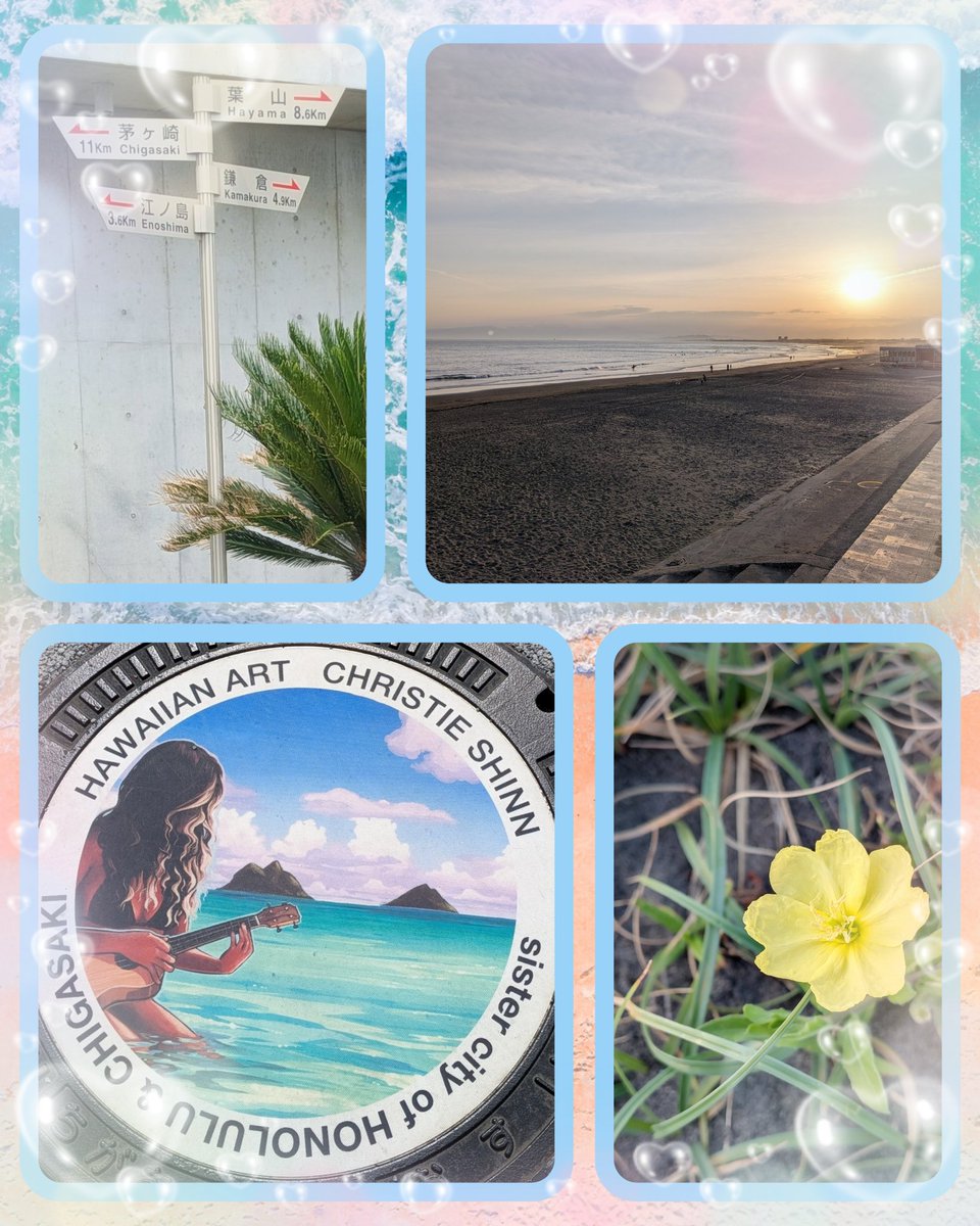 ☆𝕄𝕀𝕌☆🐬みう🐬 tweet media