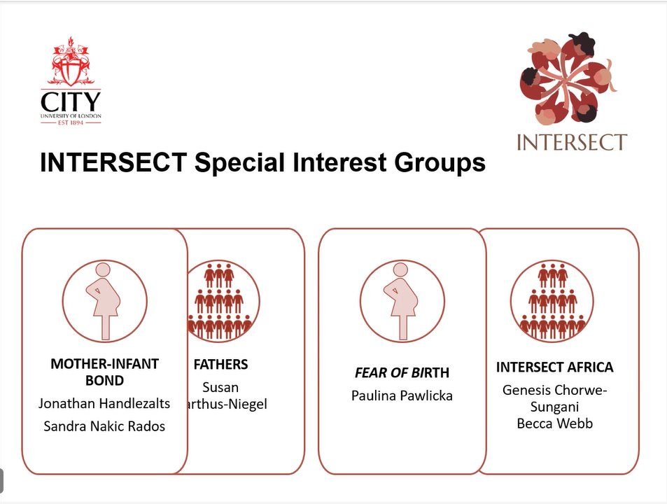 INTERSECTstudy's tweet photo. The INTERSECT project has led to the development of many sub-groups! We also have a models of maternity care subgroup and obstetric violence subgroup. #internationalresearch #maternitycare #birthtrauma https://t.co/YmCNOVCmWy