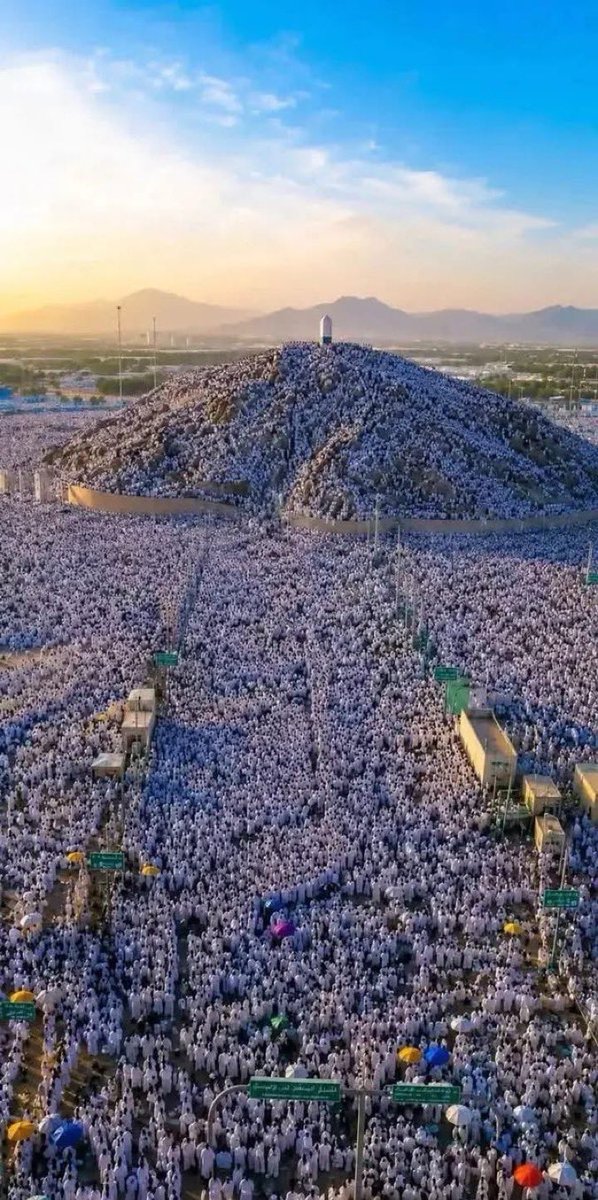 د ياسر الدوسري tweet media