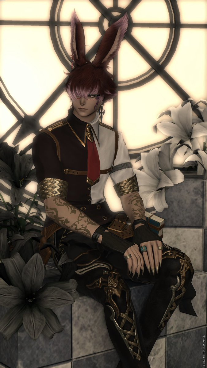 ユキノ@FF14 原神 tweet media